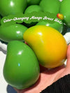 Mango Stress Ball Squeeze Toy