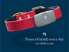 Petivity Smart Dog GPS Tracker