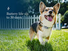 Petivity Smart Dog GPS Tracker