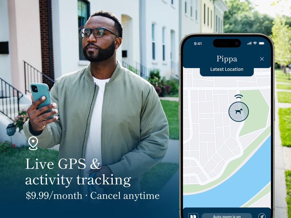 Petivity Smart Dog GPS Tracker