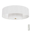Brookside Indoor LED Fandelier