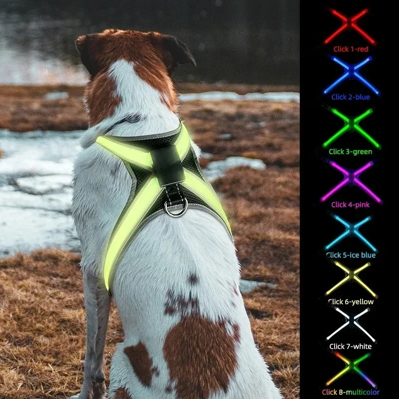 Arnes LED Luminoso para Perro