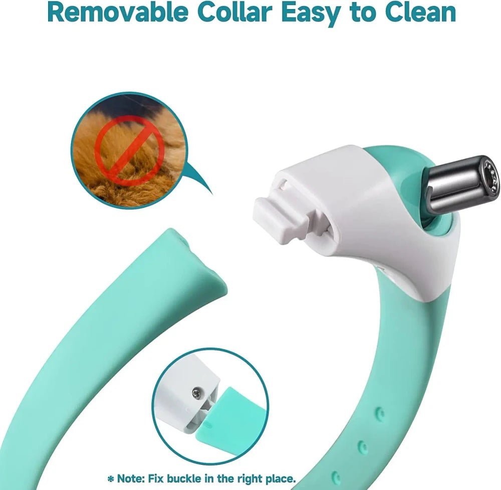 Interactive Laser Cat Collar