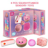Squishy Toy Blind Box Gift