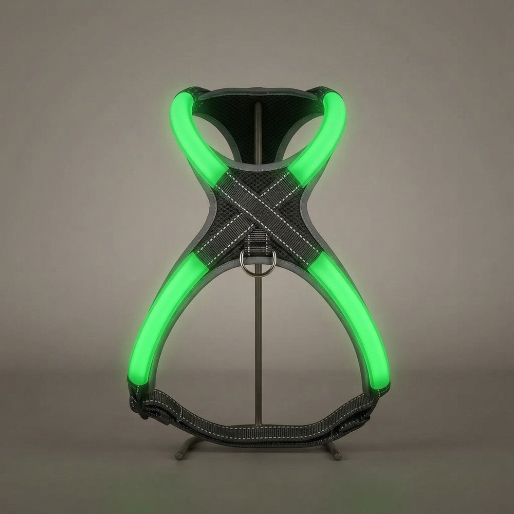 Arnes LED Luminoso para Perro