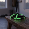 Arnes LED Luminoso para Perro